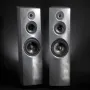 Напольная акустика Davis Acoustics Stellar Silver Moon